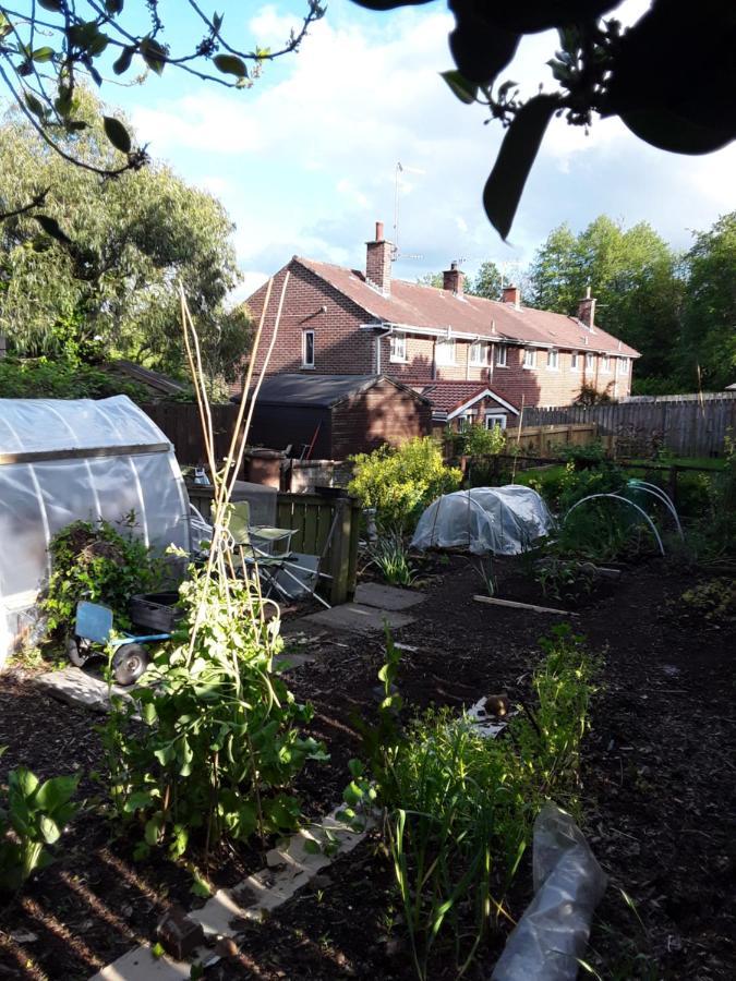 Waveney Villa Belfast Luaran gambar